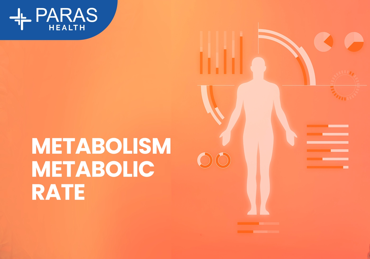 Metabolism & Metabolic Rate