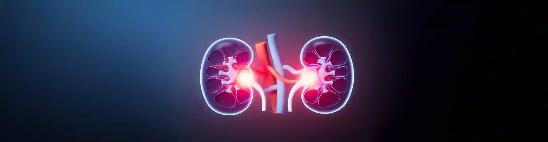 Endometriosis Treatment