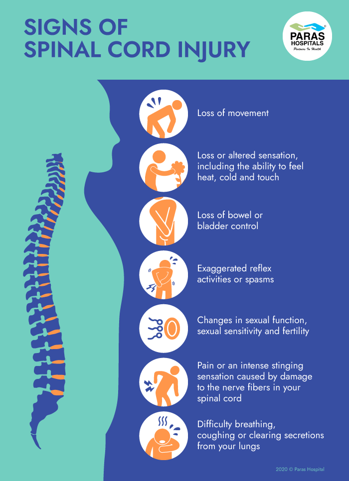 Signs of Spinal Cord Injury
