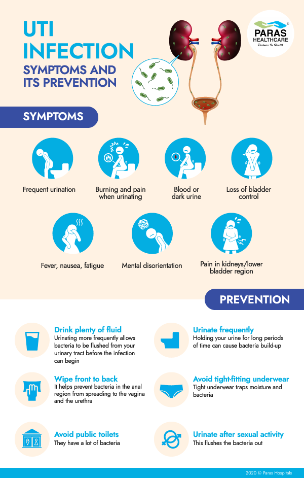UTI Infection Symptoms And Its Prevention