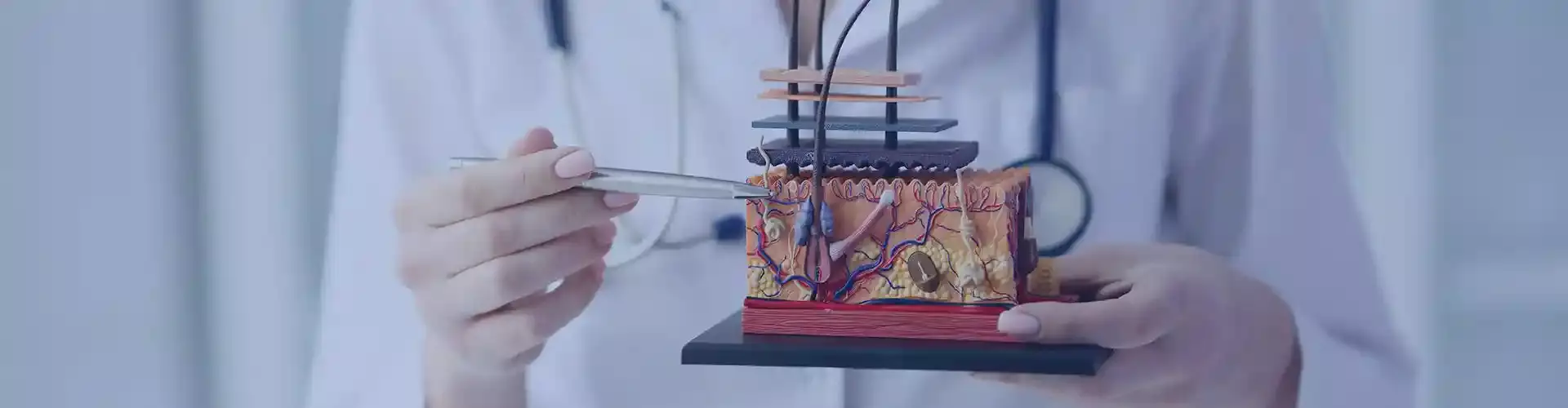 Dermatology & Cosmetology