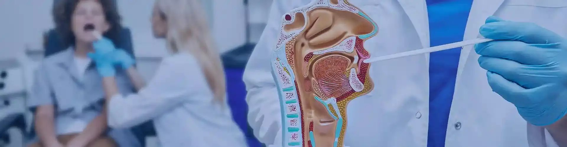 ENT, Neck & Head Surgery