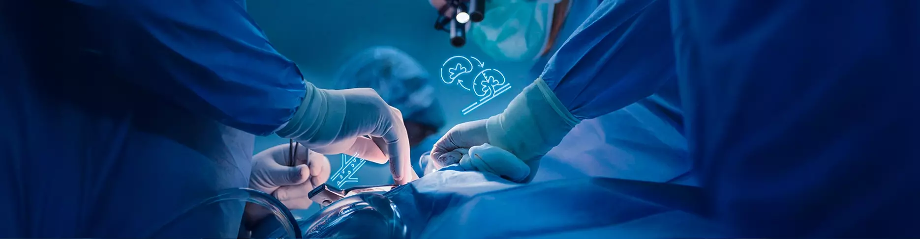 Kidney Transplant Surgery