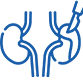 Kidney Transplant Surgery