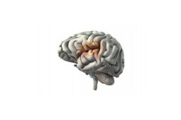 Stroke: Know the Symptoms- World Stroke Day